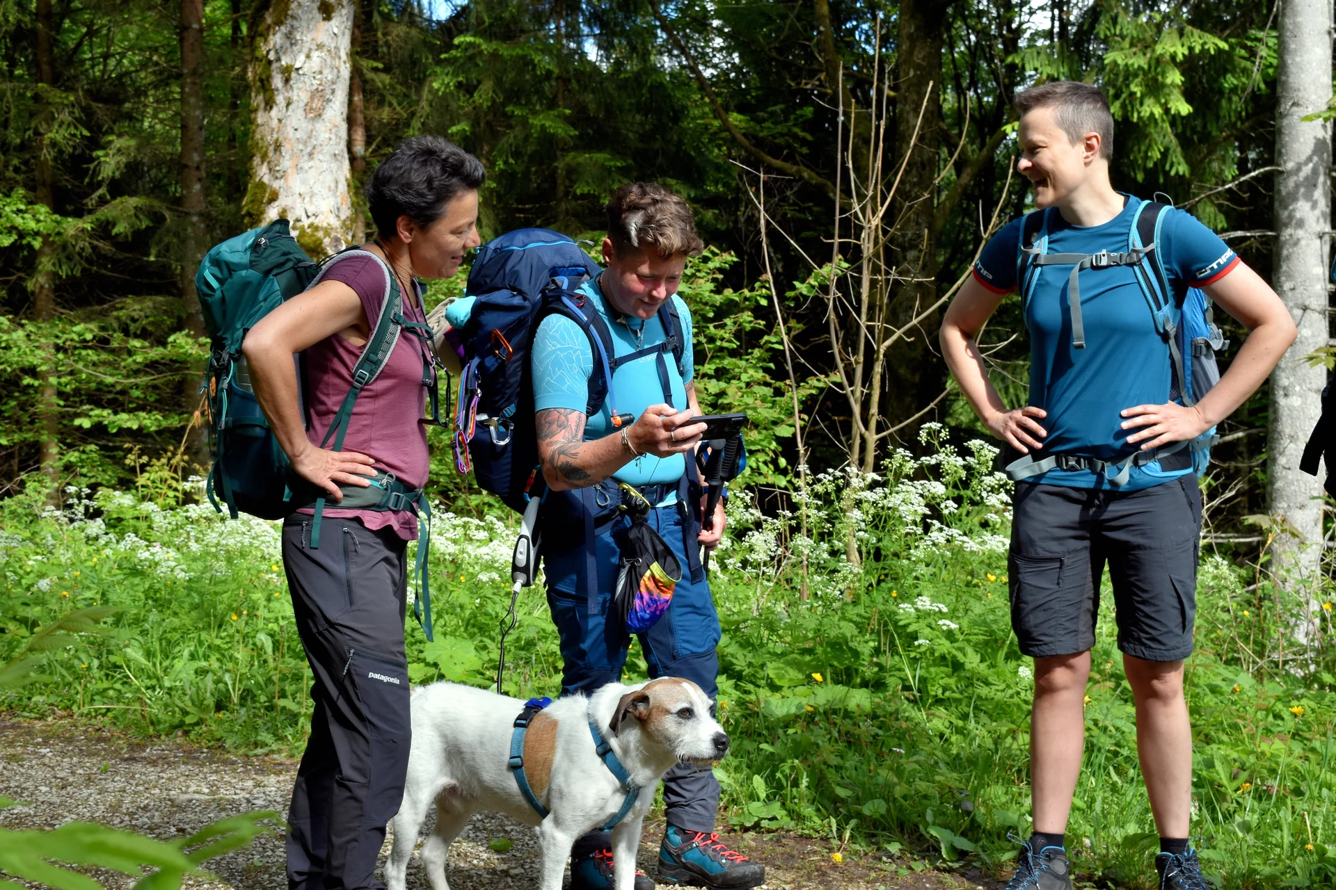 Brünnstein1 | © Kris