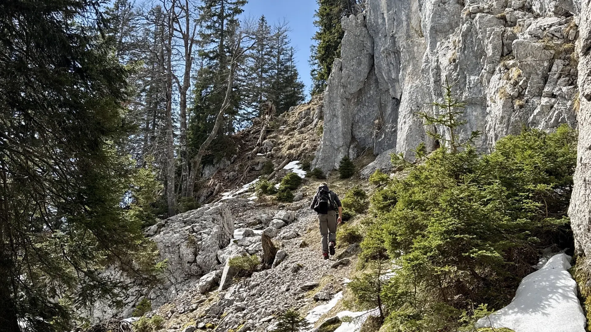Symbolbold Bergsteigen mit Fels | © Peter Fleming