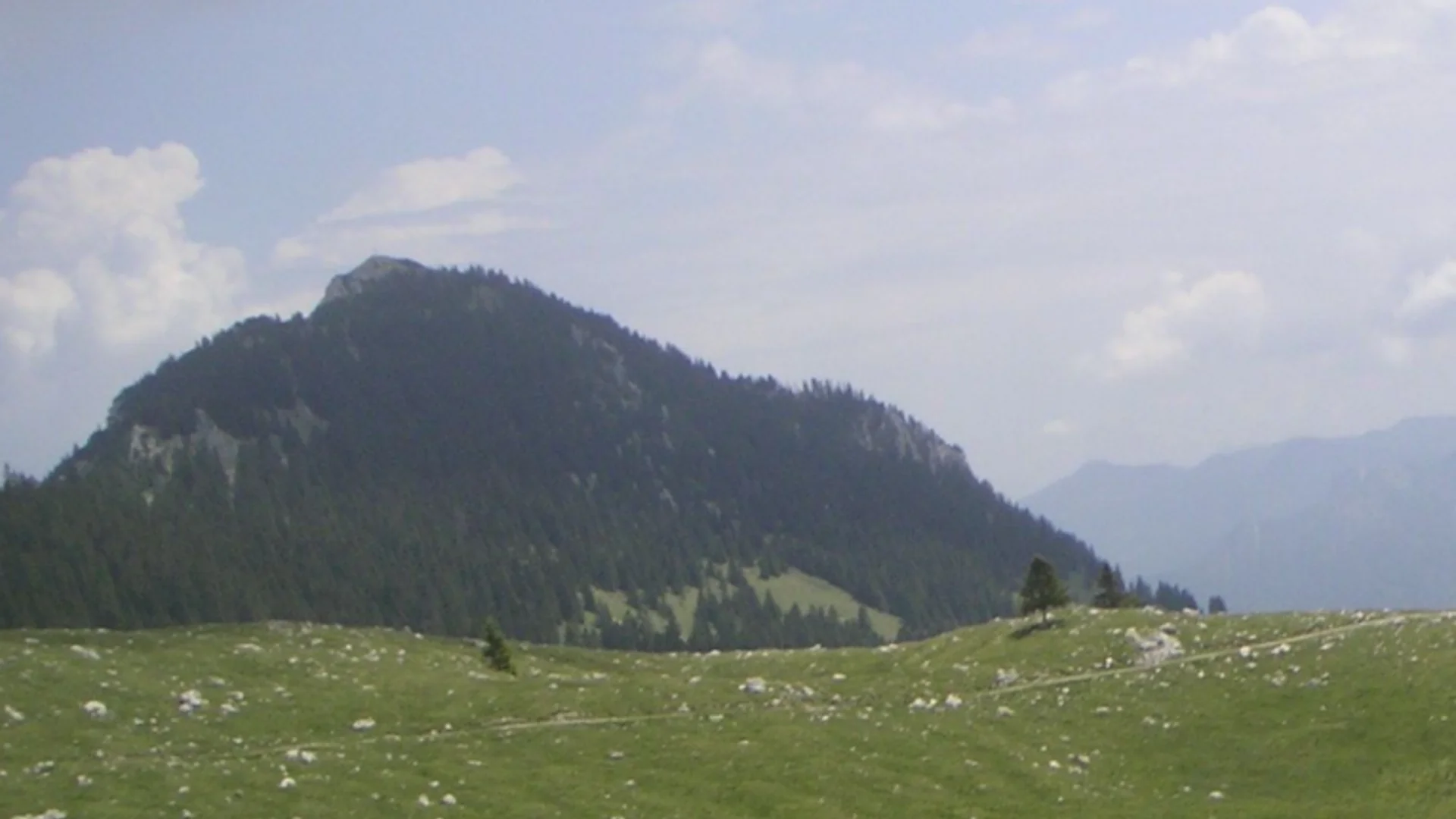 Blick auf die Hochsalwand | © Albert