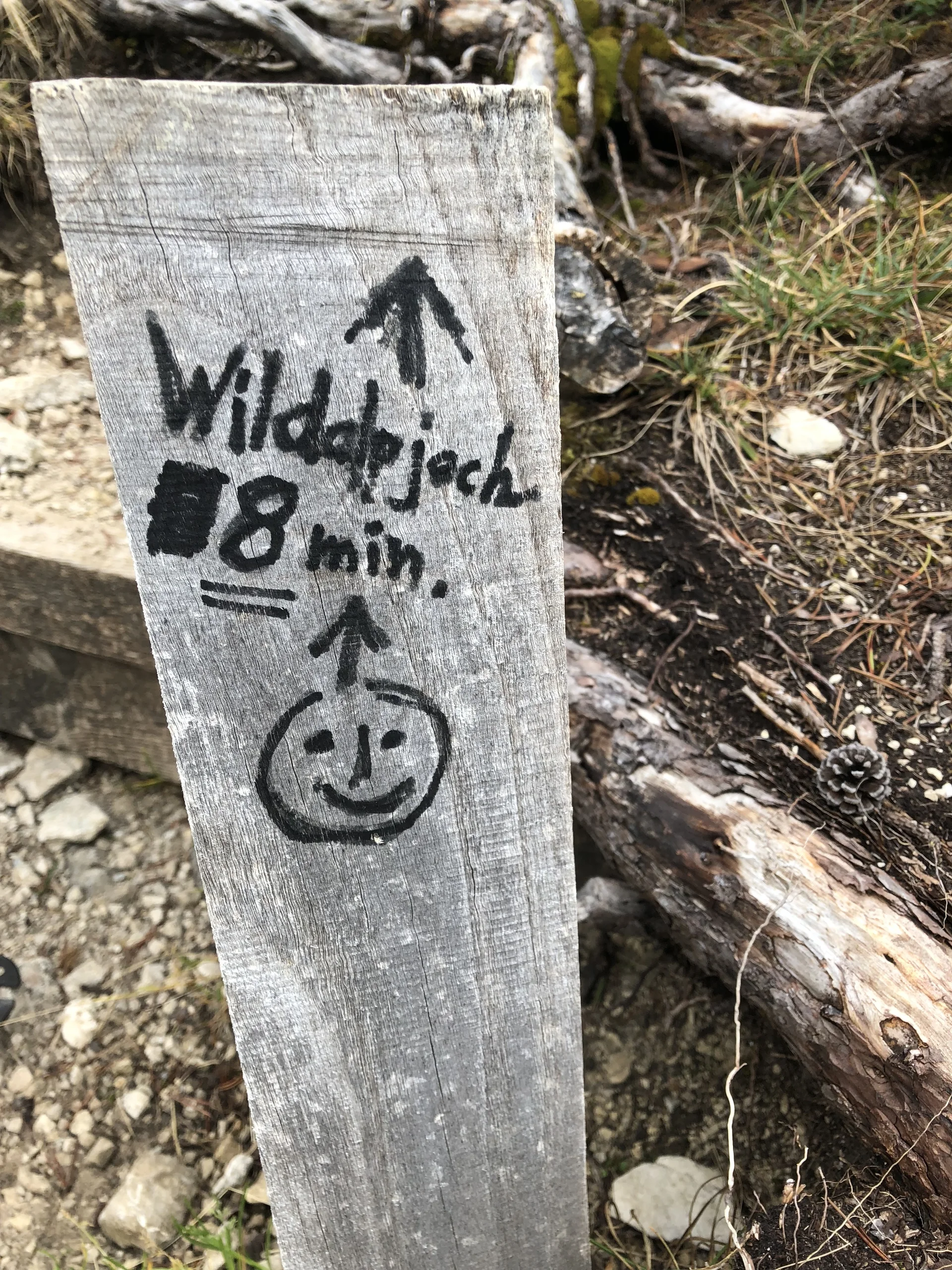 Wildalpjoch 2 | © Andrea