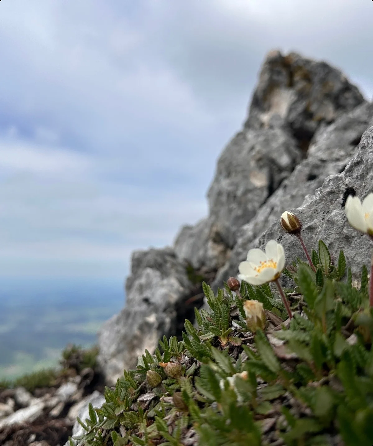 Sonnenwendwand 2 | © Andrea