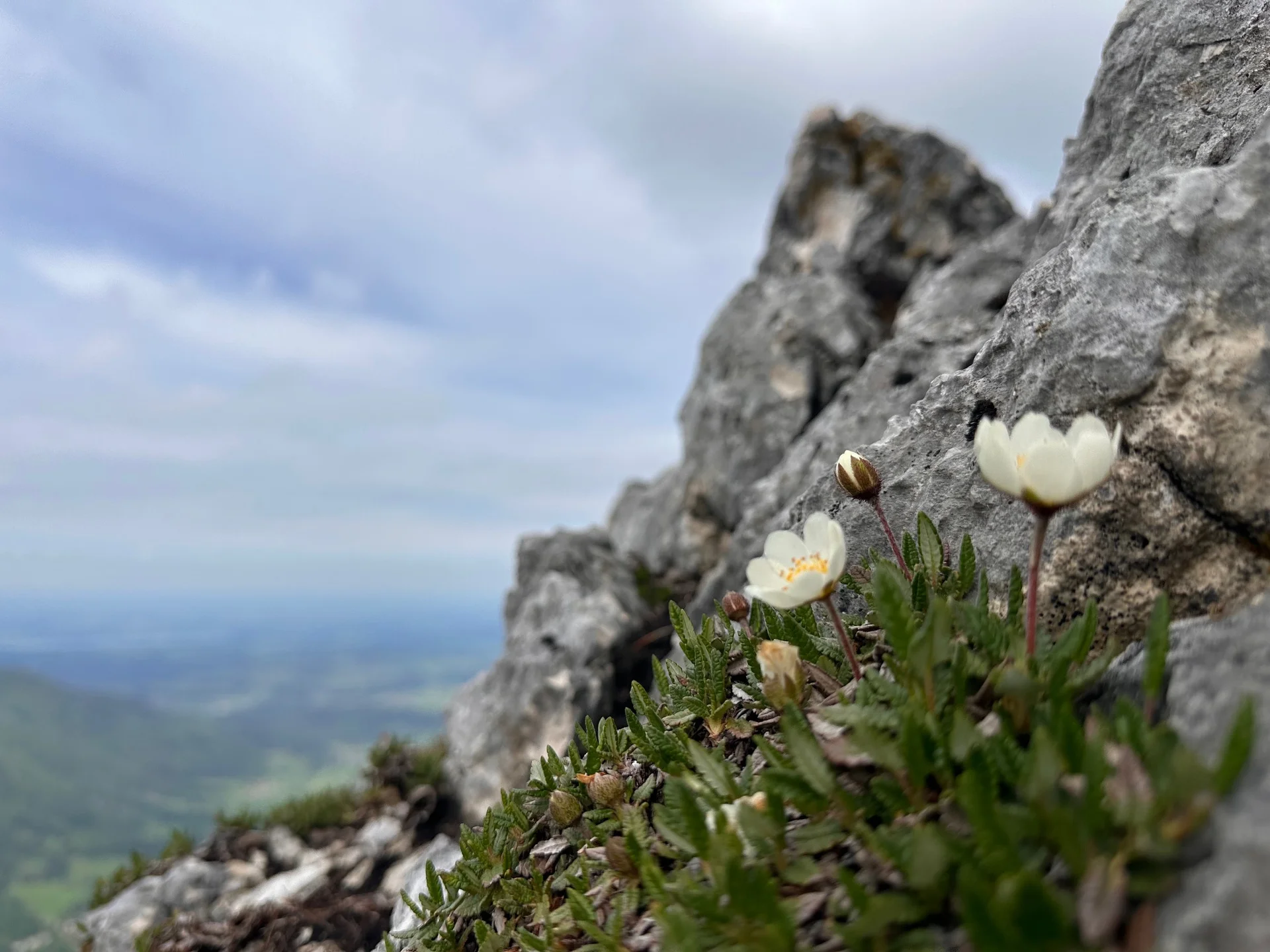 Sonnenwendwand 2 | © Andrea