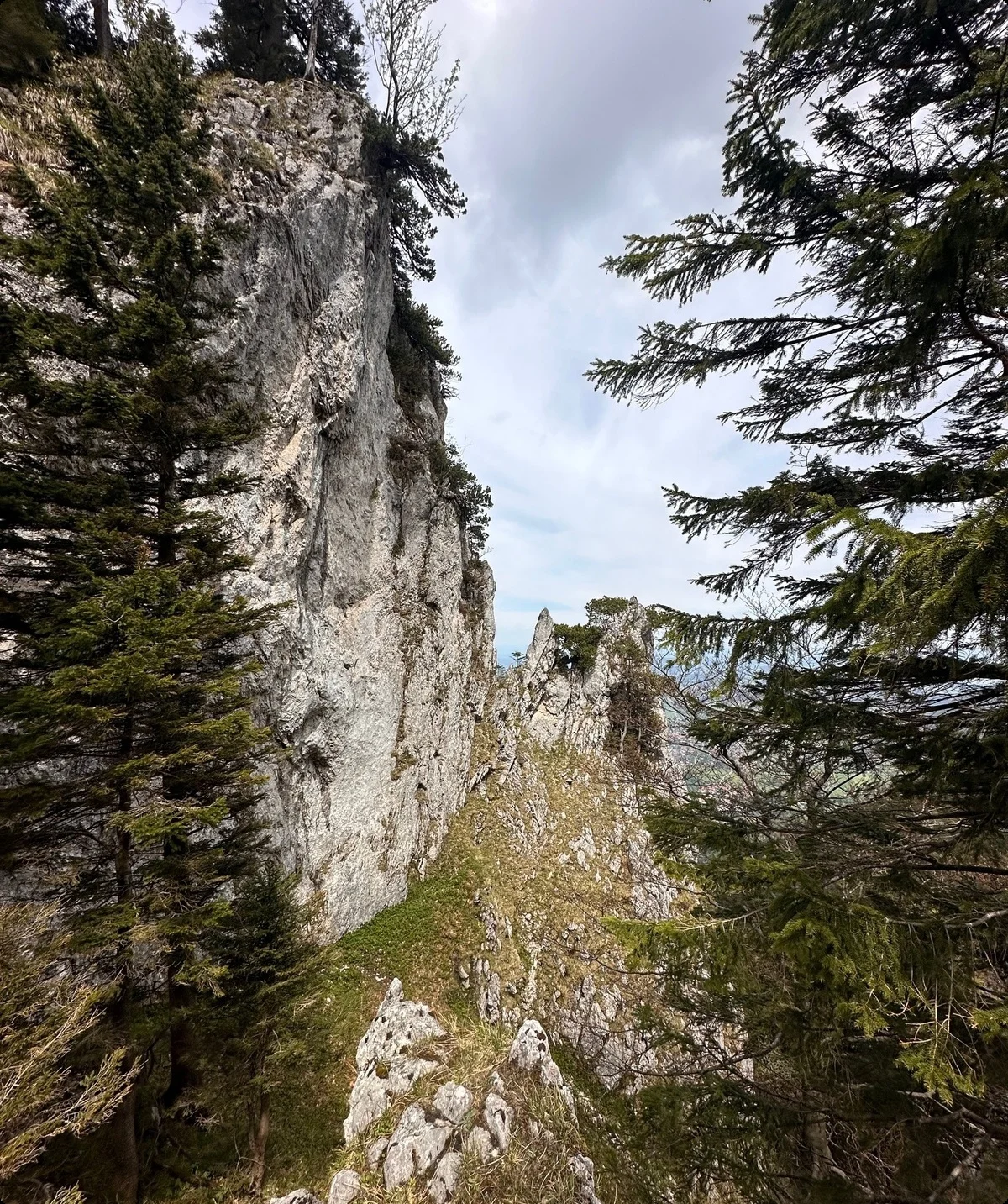 Sonnenwendwand 3 | © Andrea