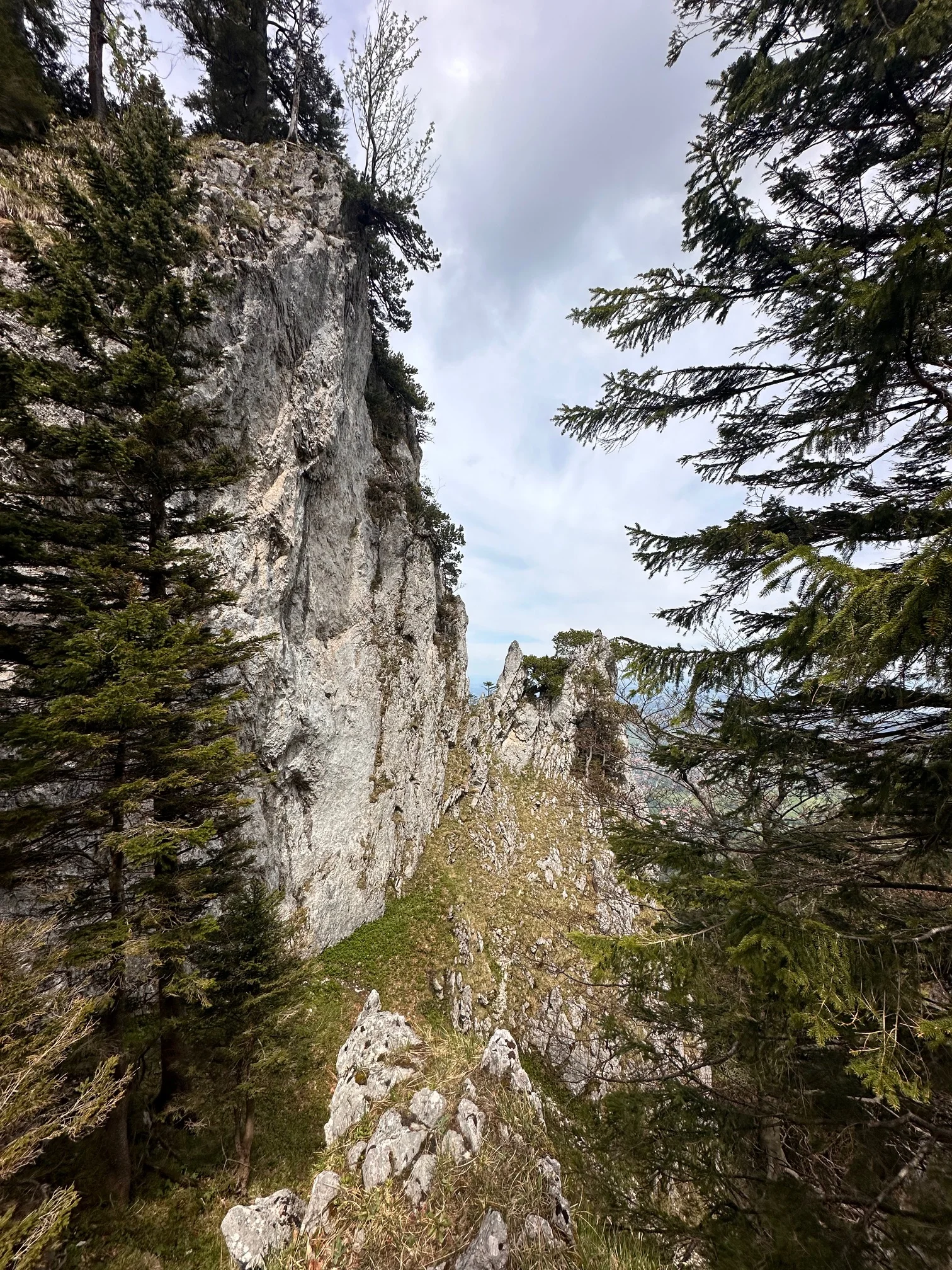 Sonnenwendwand 3 | © Andrea