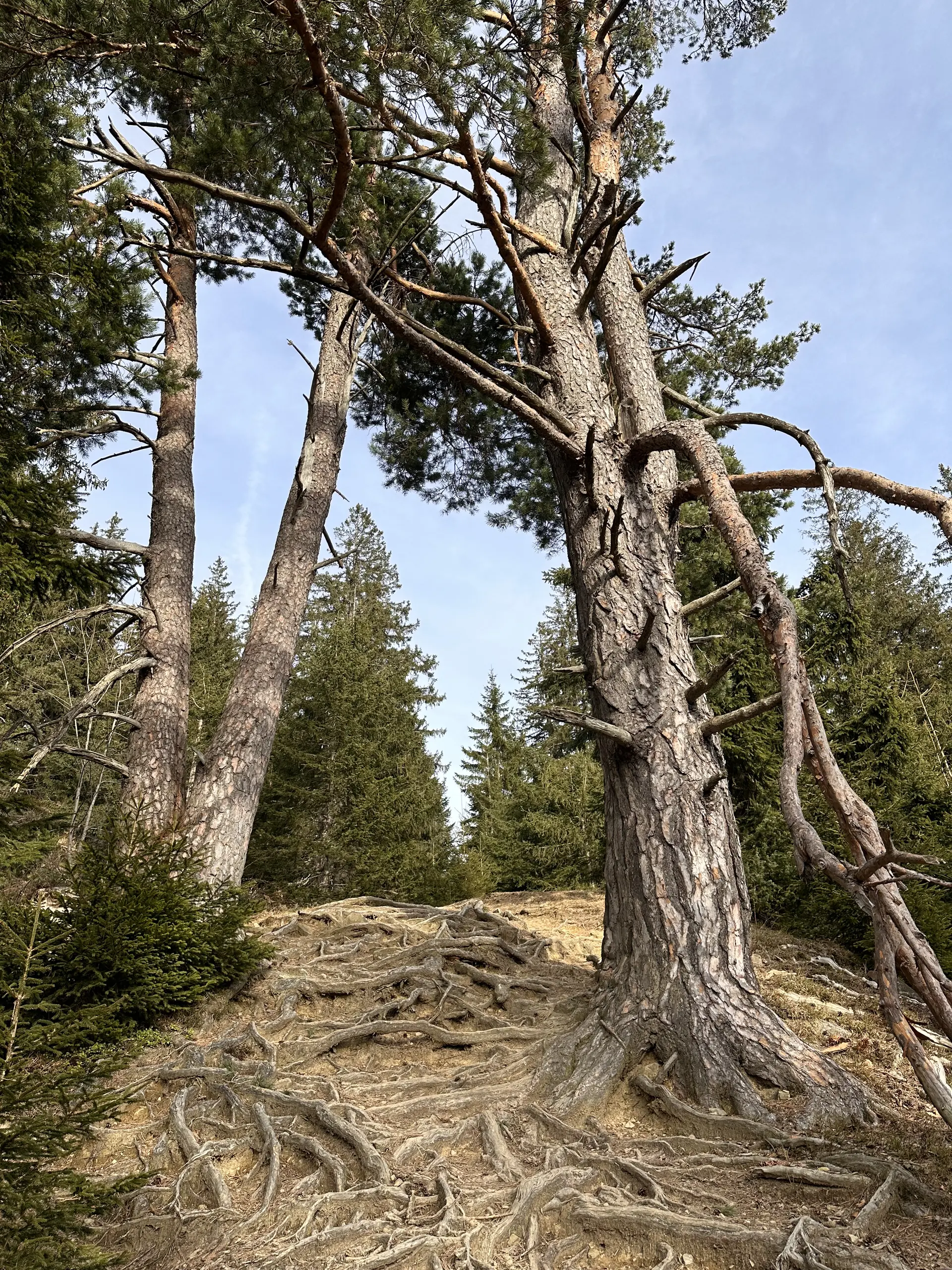 Andrea | © Andrea Hürter