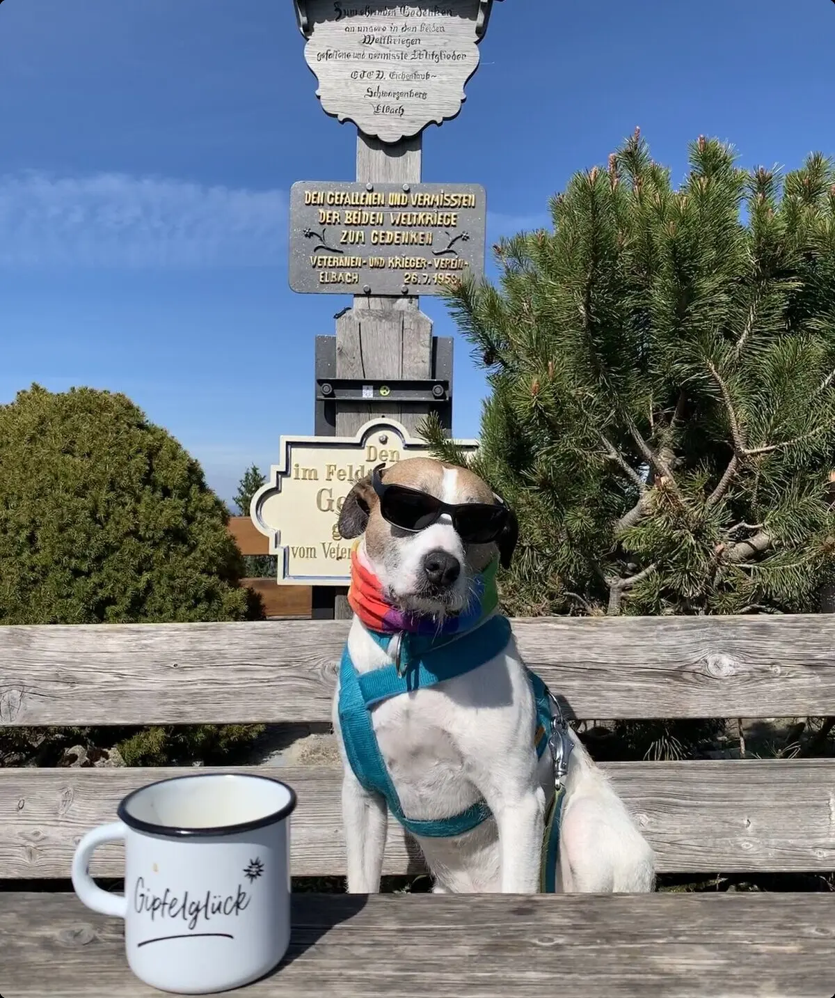 Andrea | © Andrea Hürter