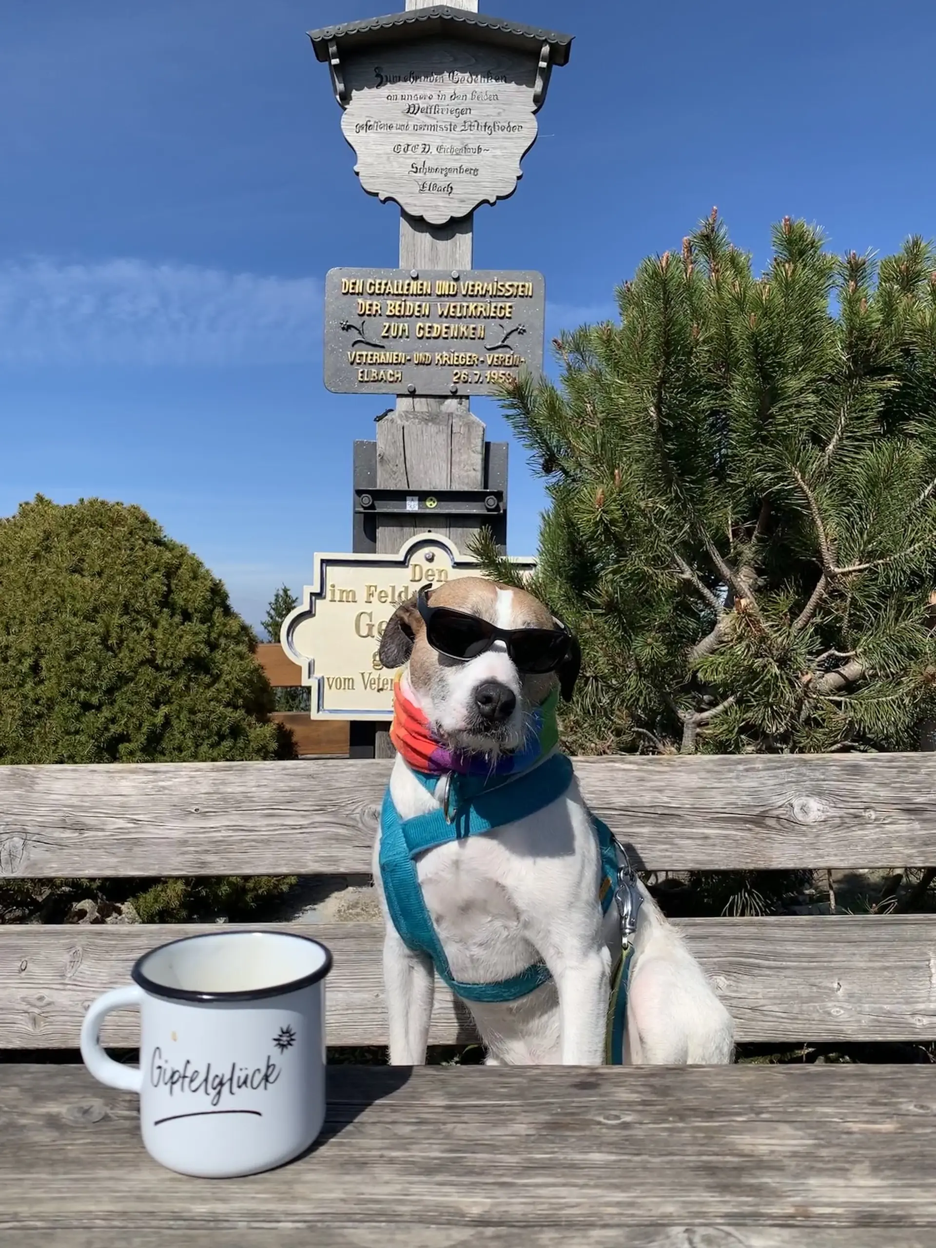 Andrea | © Andrea Hürter