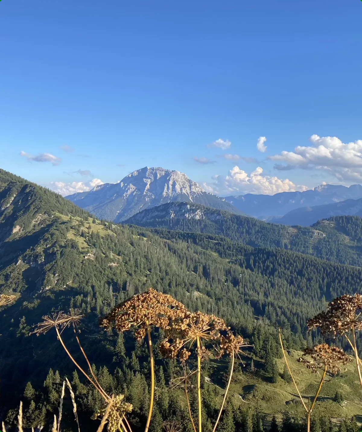 Schildenstein Gipfel | © Andrea Hürter