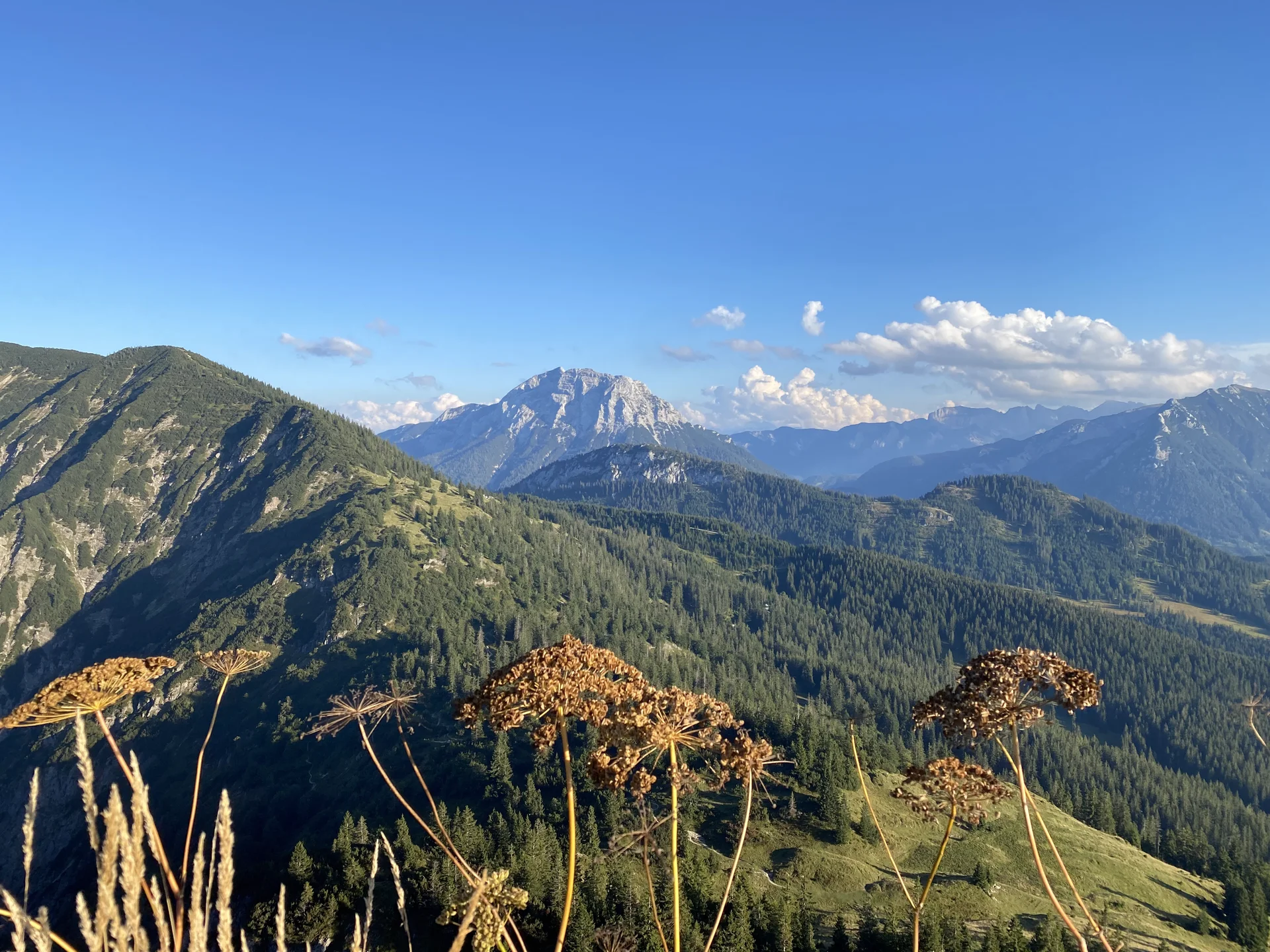 Schildenstein Gipfel | © Andrea Hürter