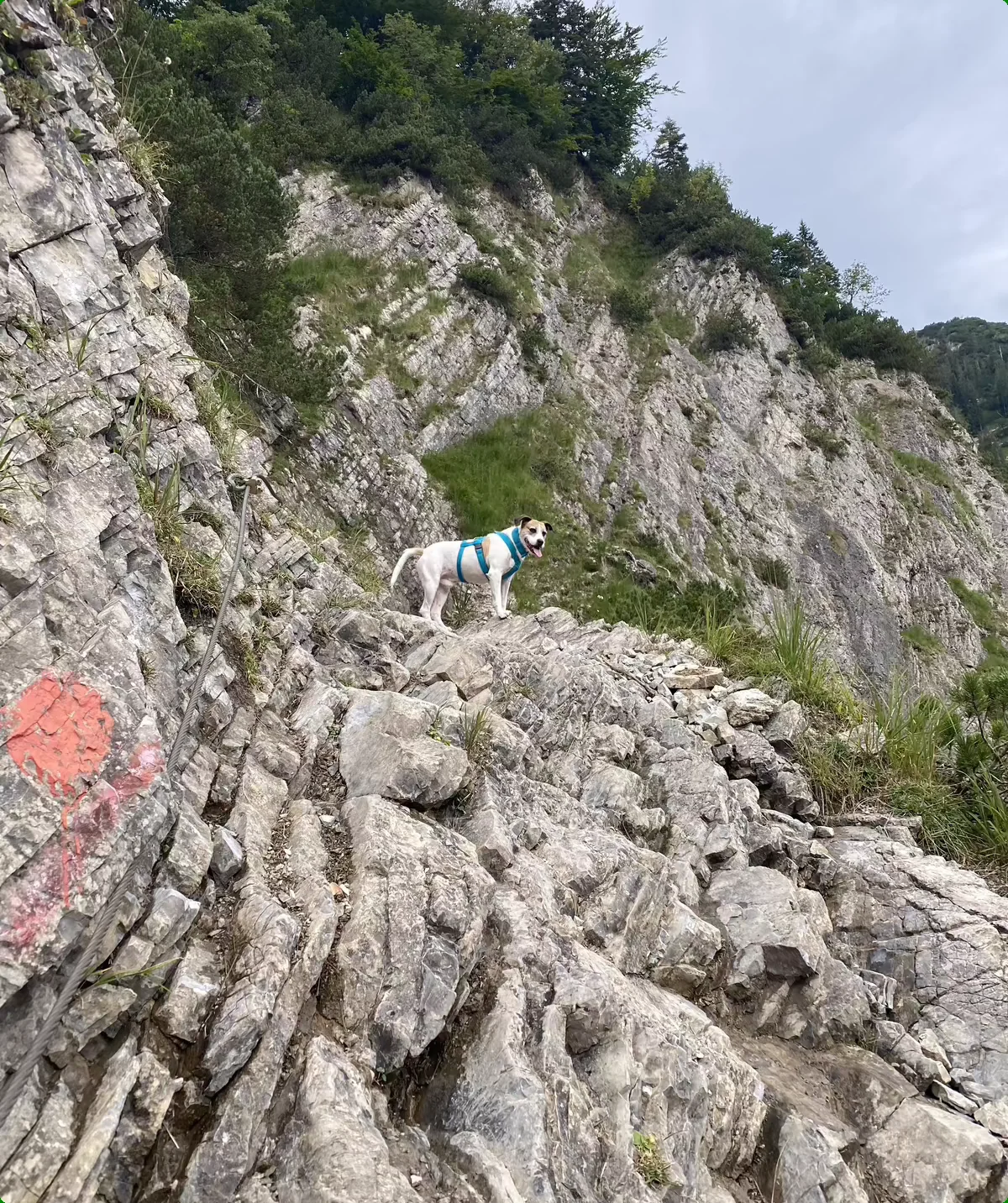 Wolfsschlucht | © Andrea Hürter