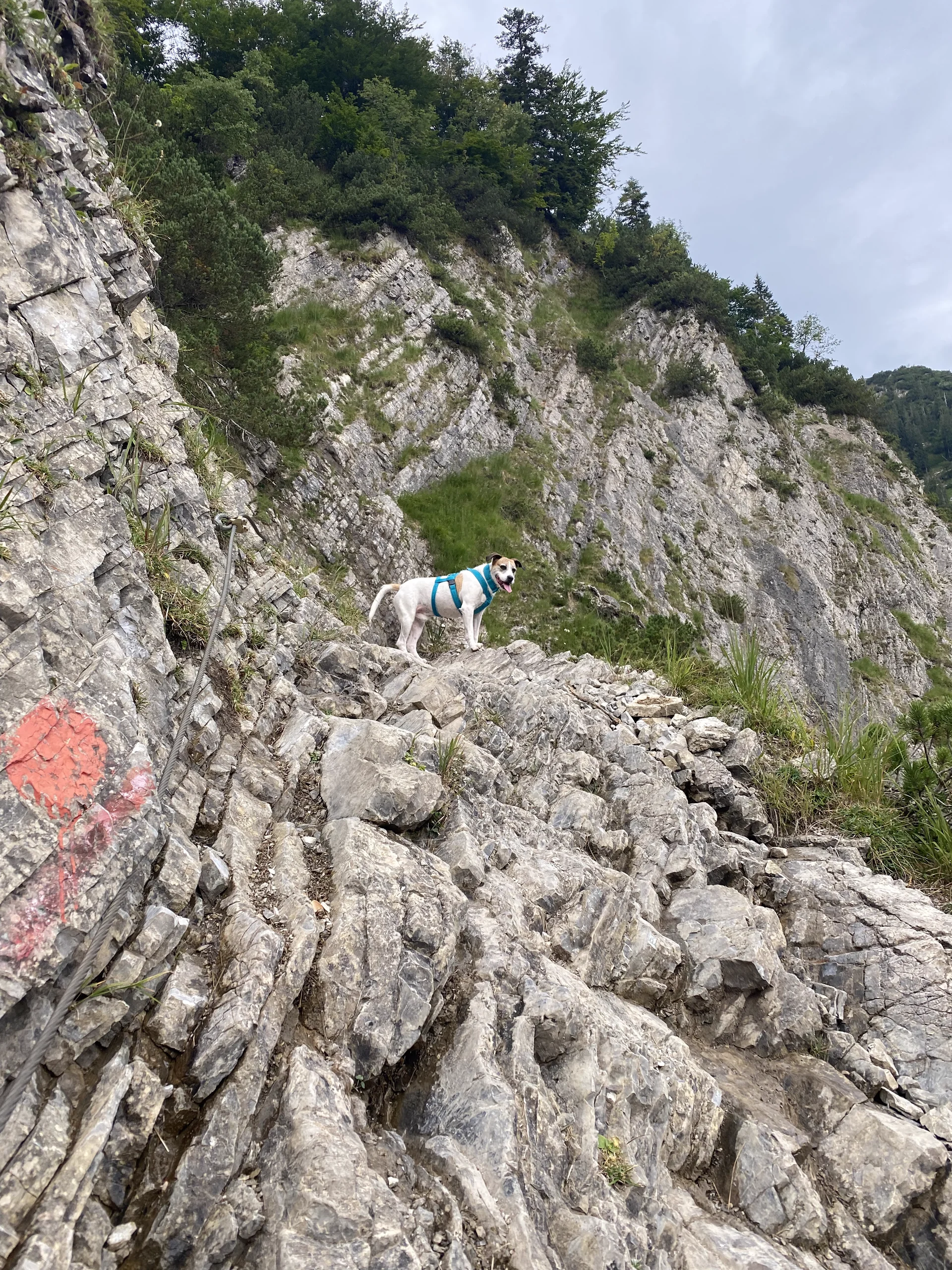 Wolfsschlucht | © Andrea Hürter
