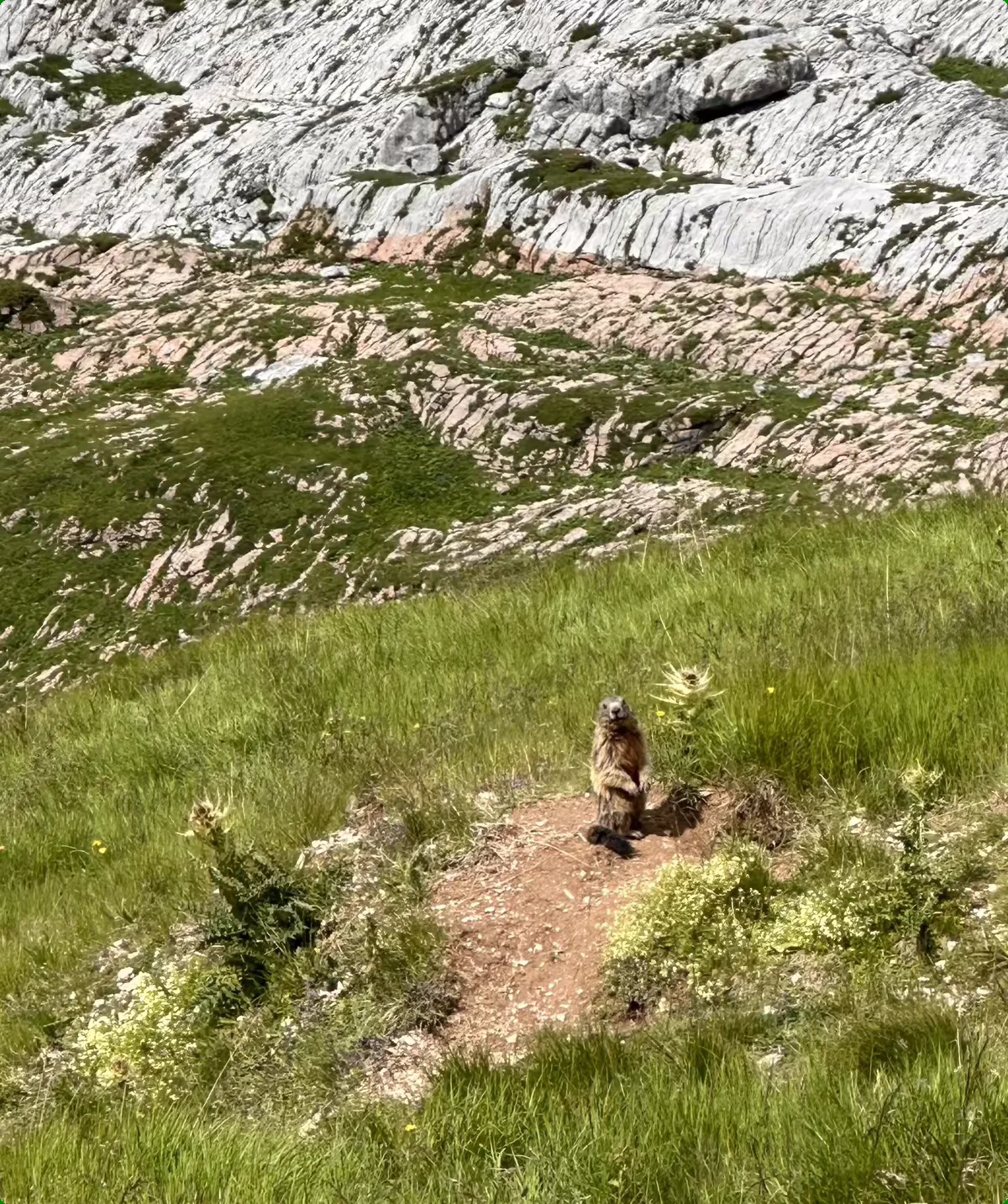 Rofan 6 | © Andrea Hürter