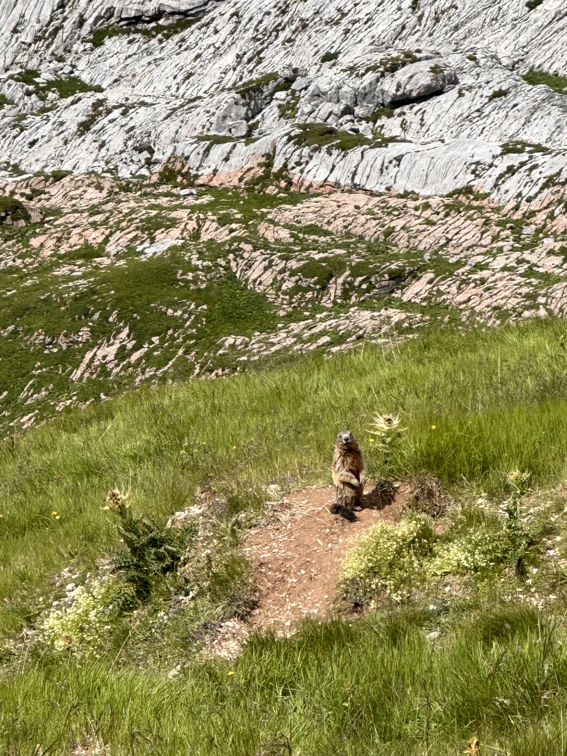 Rofan 6 | © Andrea Hürter