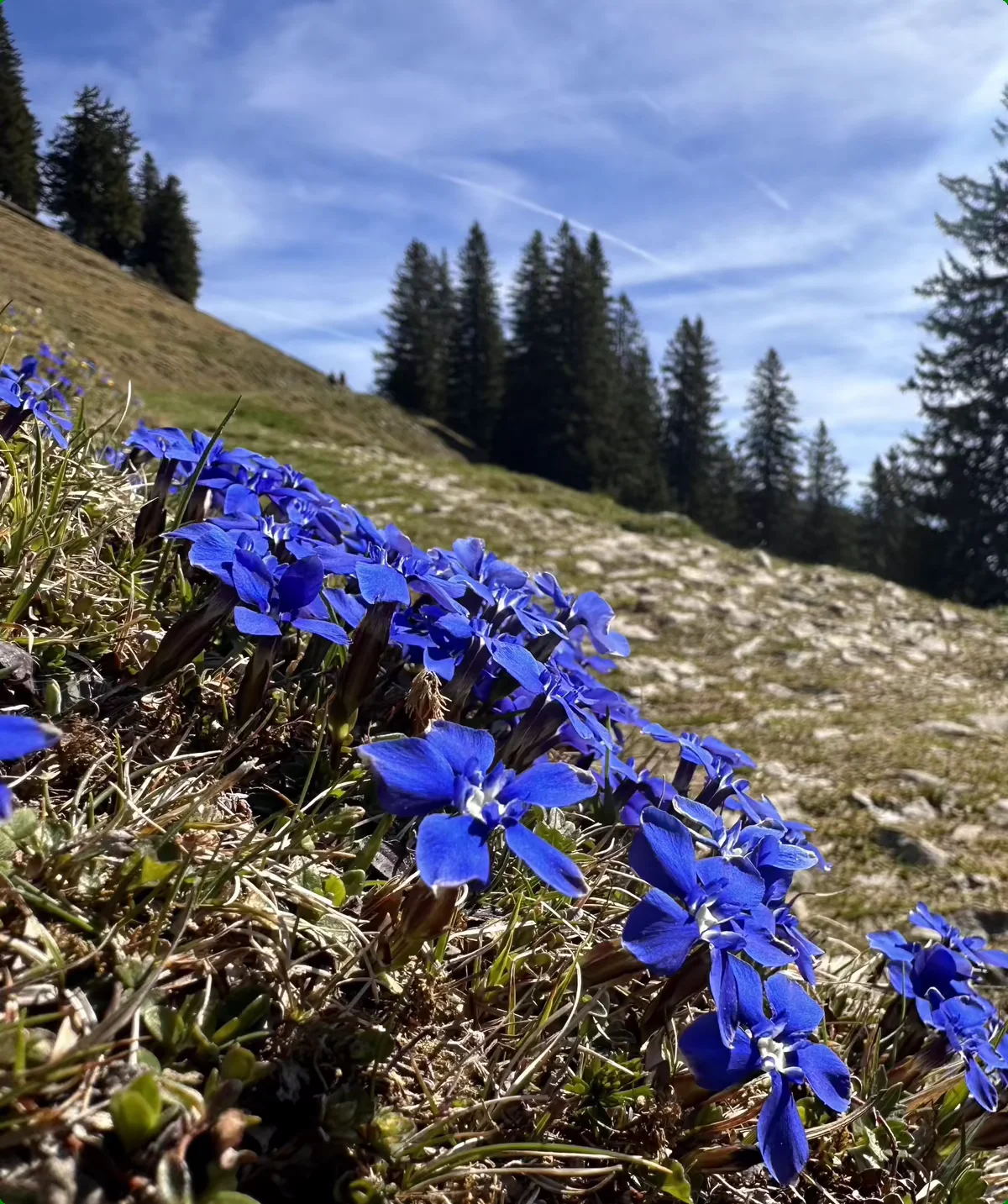 Geigelstein 3 | © Andrea Hürter