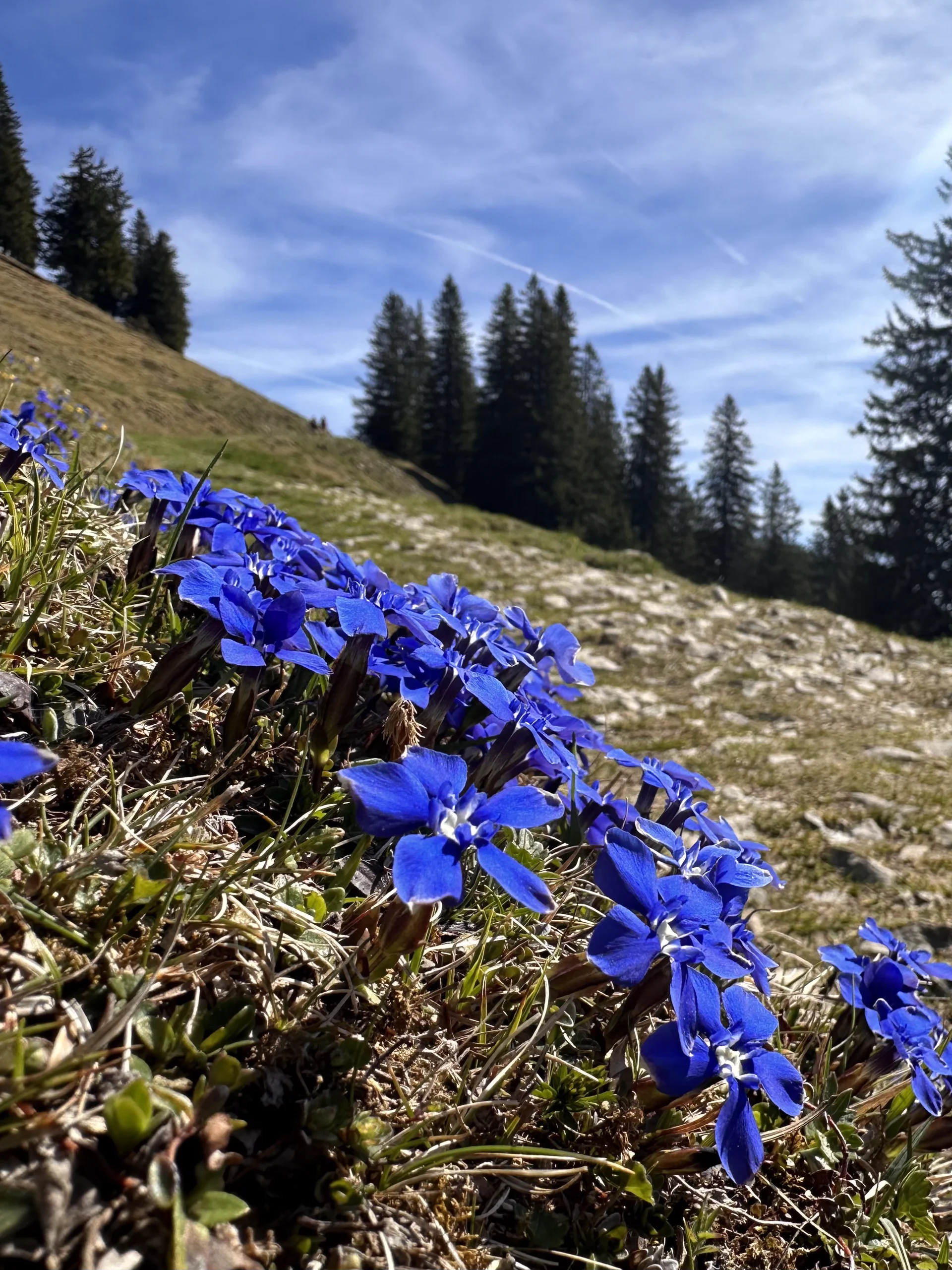 Geigelstein 3 | © Andrea Hürter