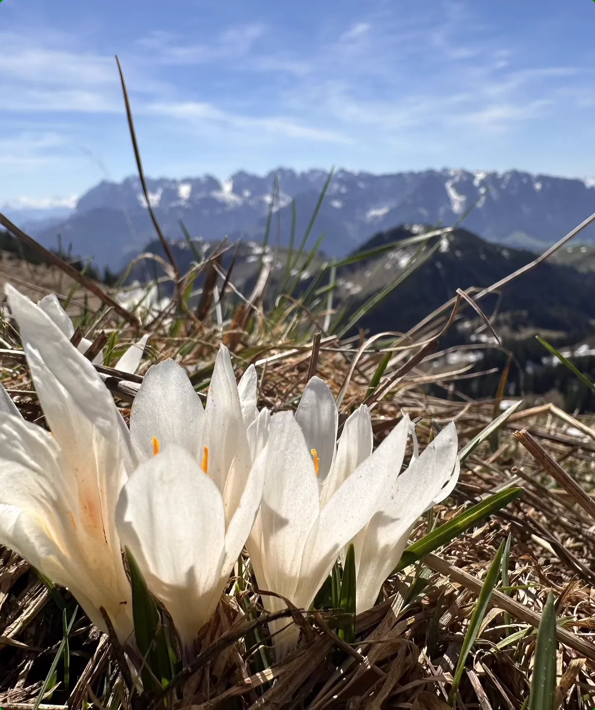 Geigelstein 2 | © Andrea Hürter