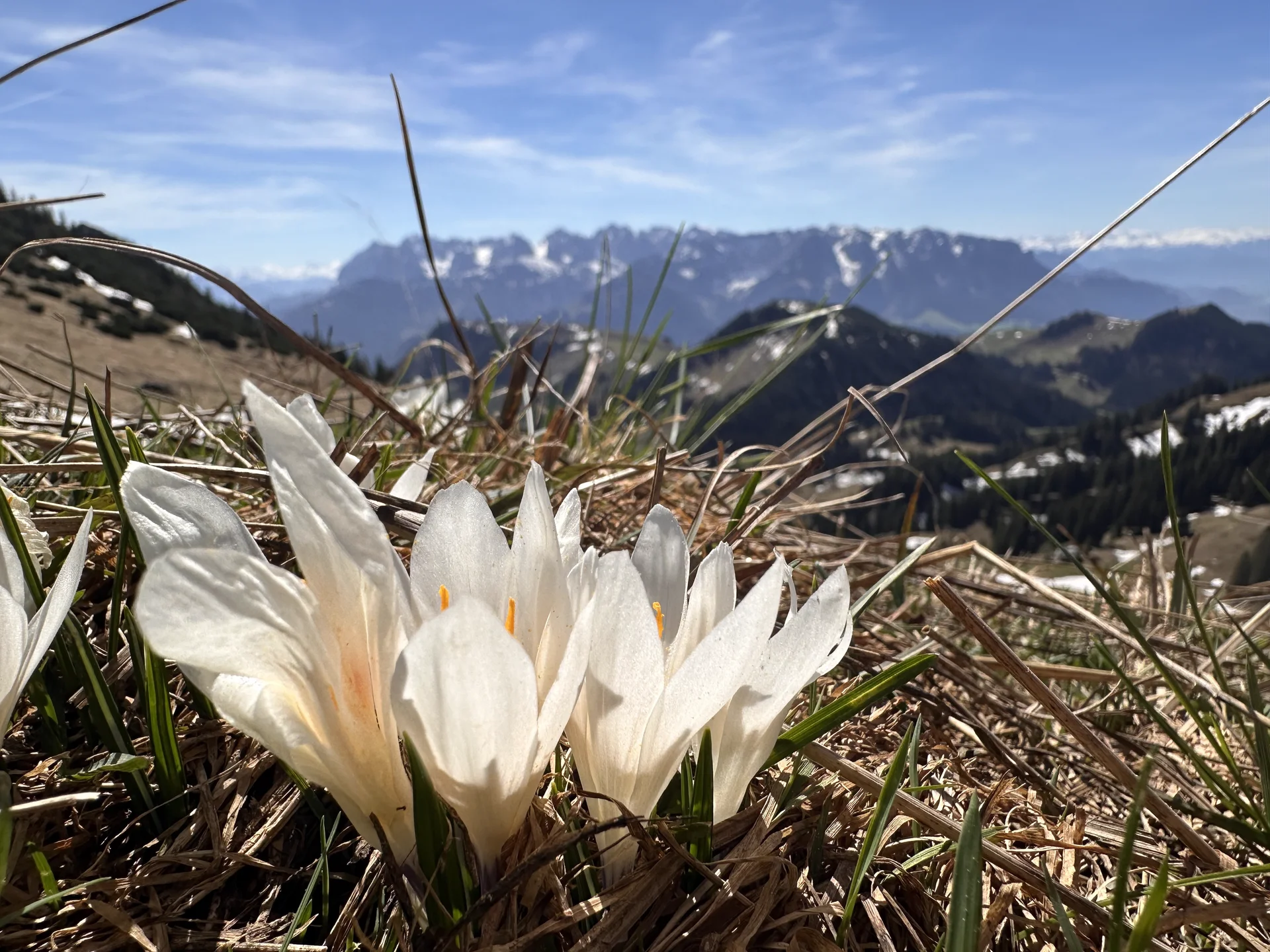 Geigelstein 2 | © Andrea Hürter
