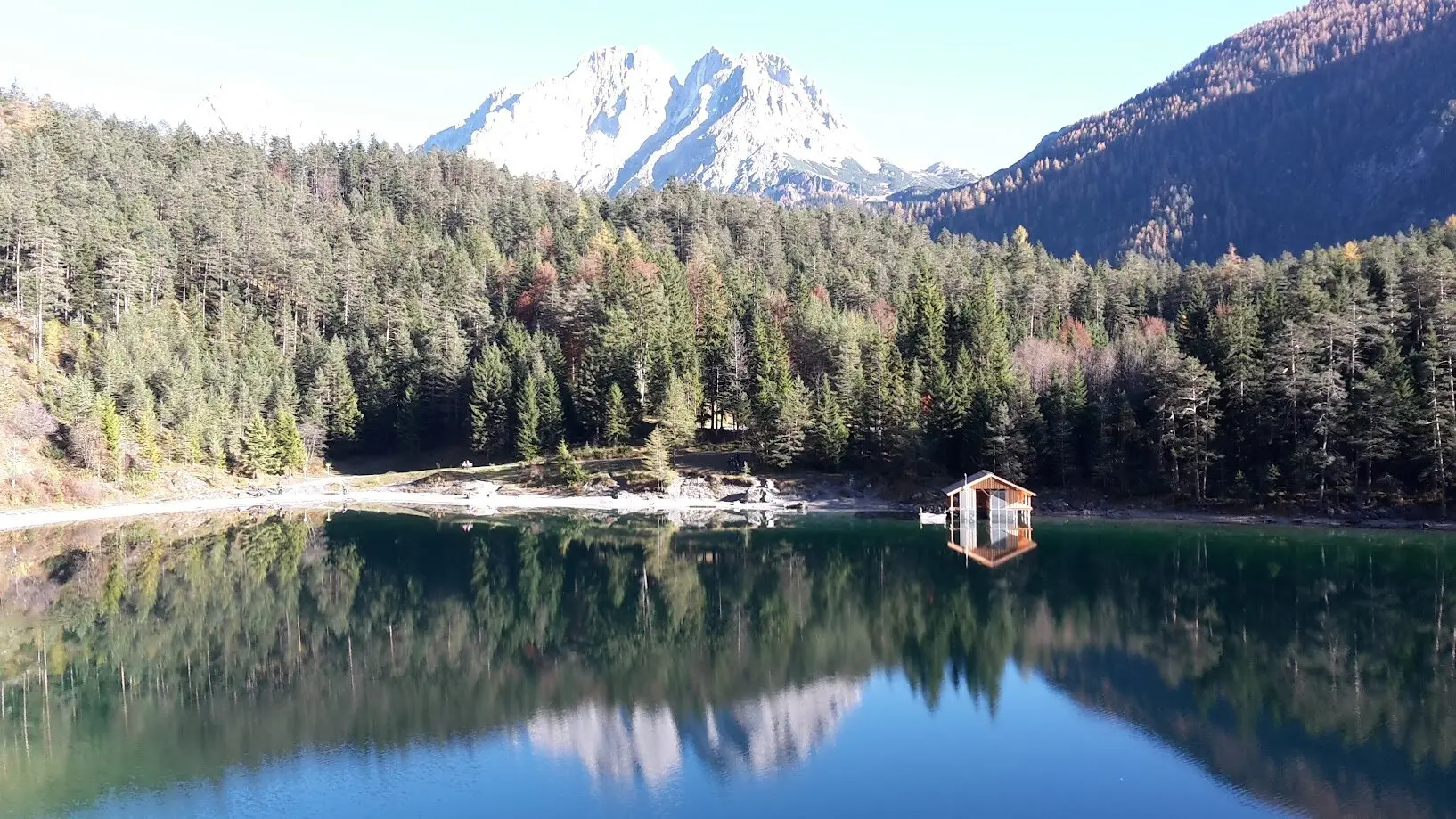 blindsee | © dietmar