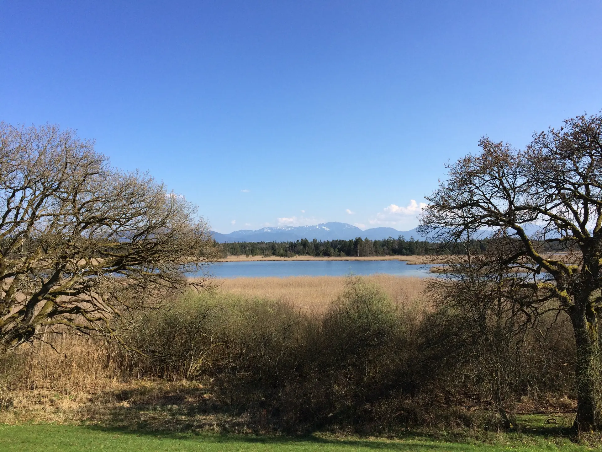 Osterseen (Gartensee, von Süden) | © Florian Fell, eigenes Werk
