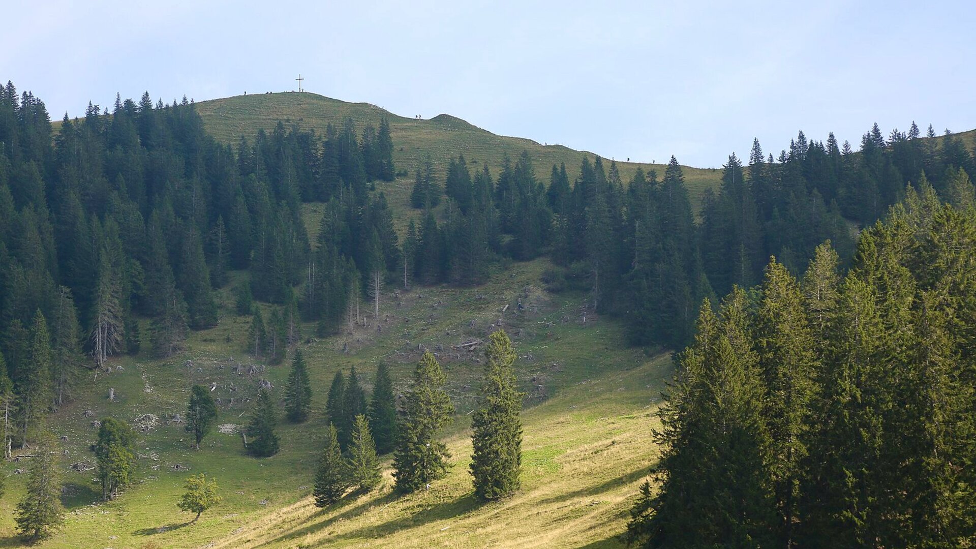 © Henning Schlottmann (User:H-stt), CC BY-SA 4.0 <https://creativecommons.org/licenses/by-sa/4.0>, via Wikimedia Commons © Henning Schlottmann (User:H-stt), CC BY-SA 4.0 <https://creativecommons.org/licenses/by-sa/4.0>, via Wikimedia Commons