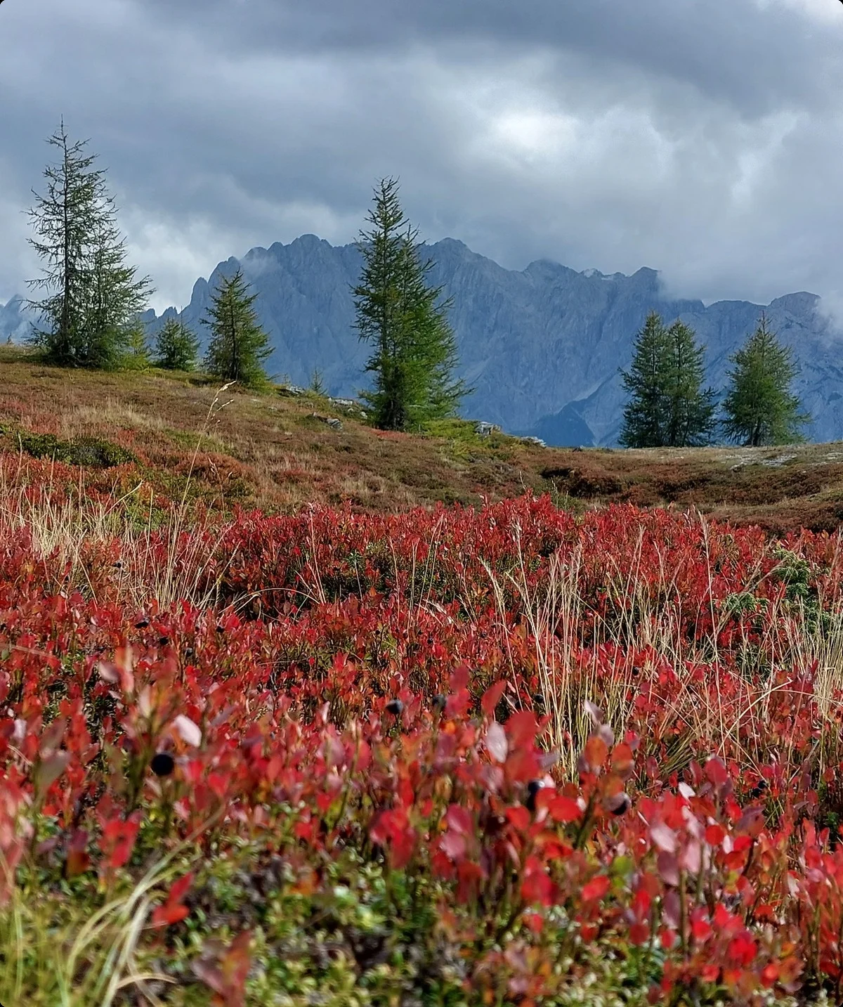 © Korbinian Leitner