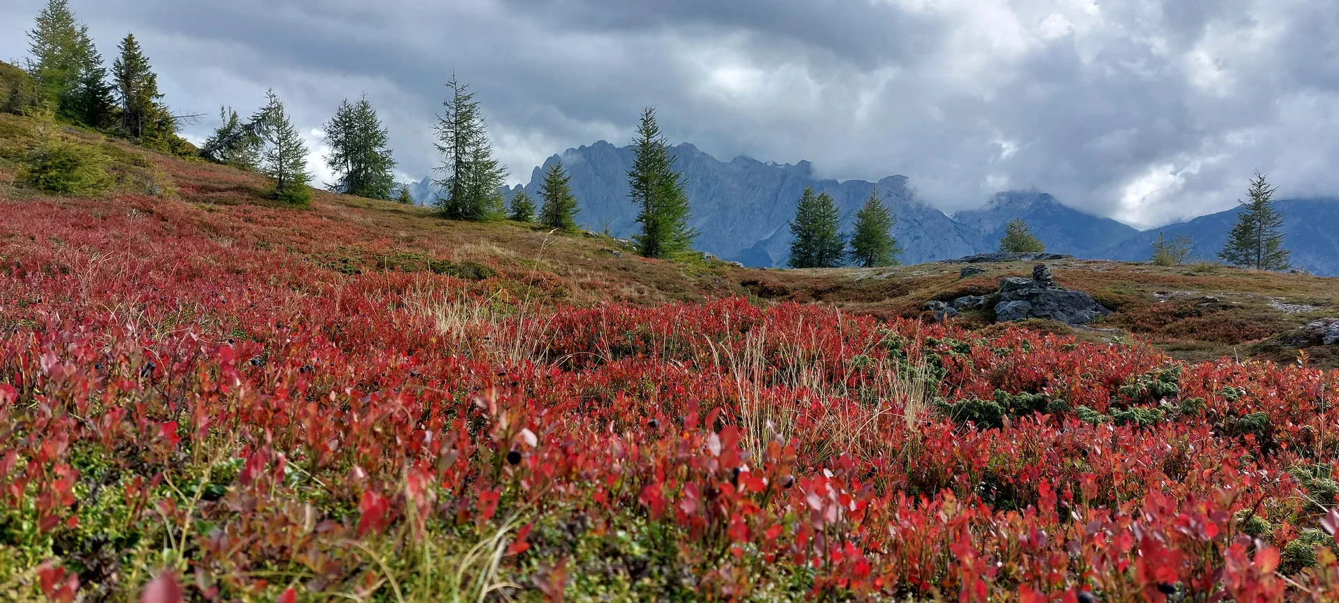 © Korbinian Leitner