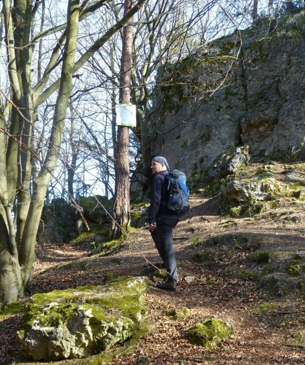 M im Wald | © Mario