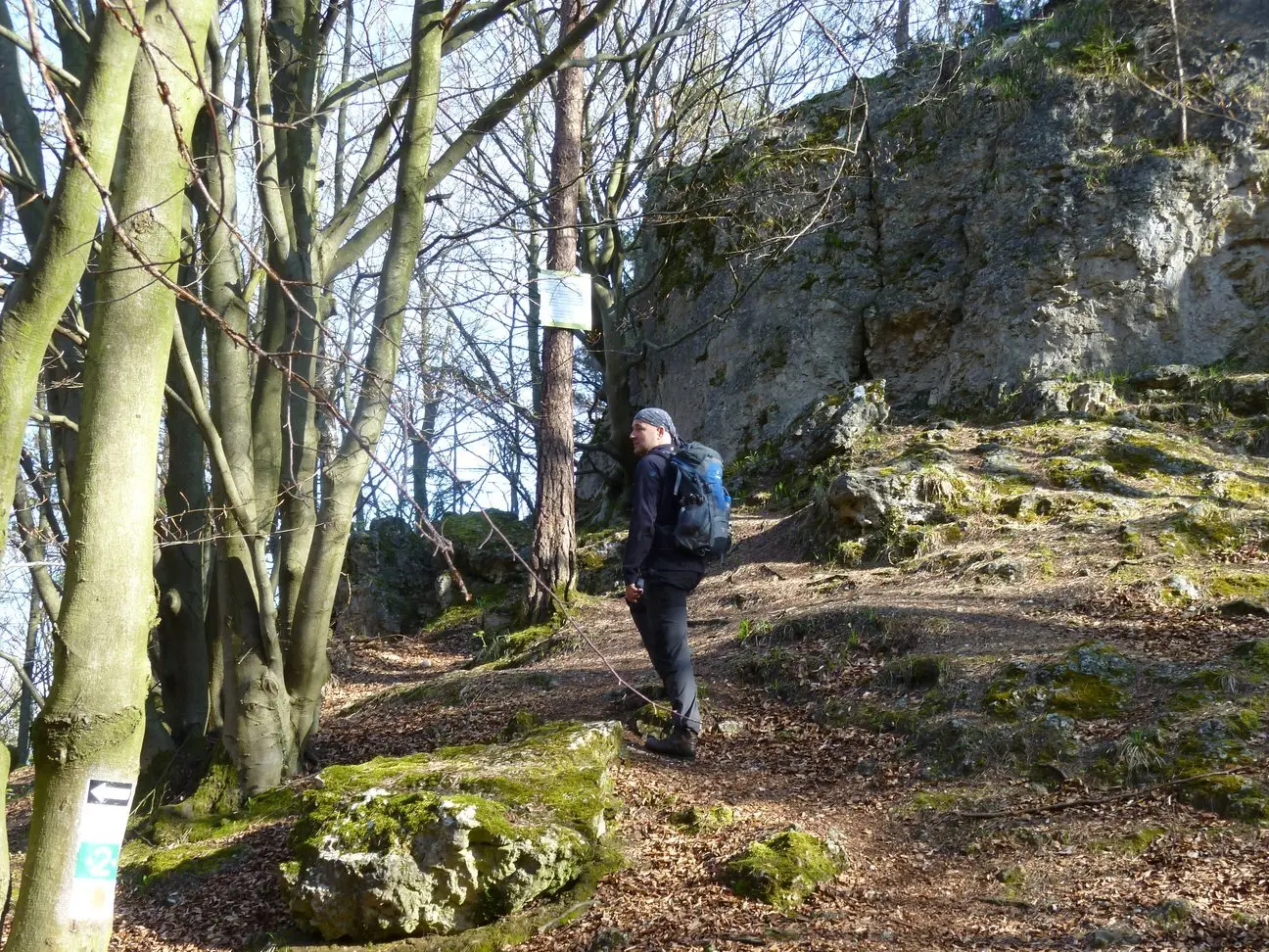 M im Wald | © Mario