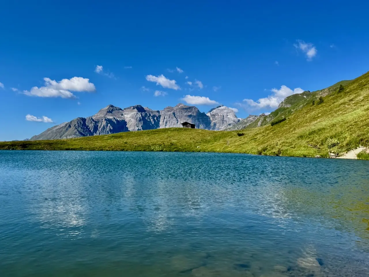 © Matthias