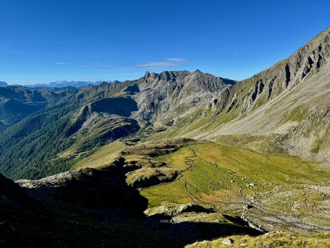Der große Moosboden am Stabeler Höhenweg | © Matti