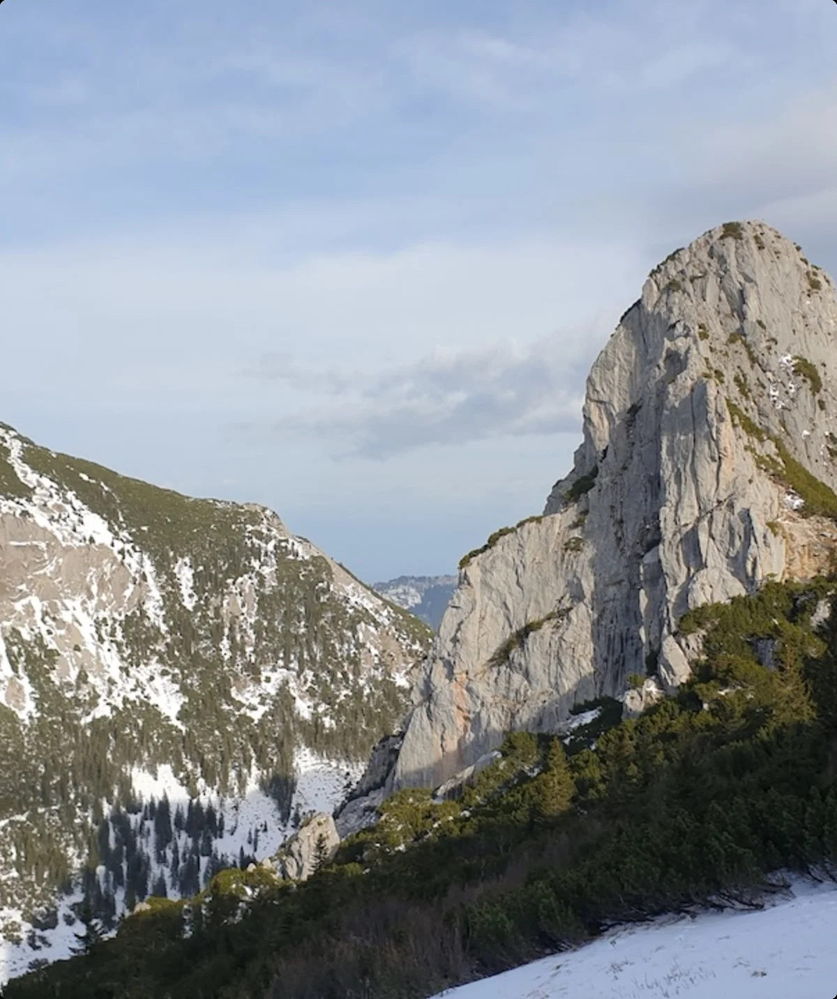 Ruchenköpfe | © Simon (GOC)