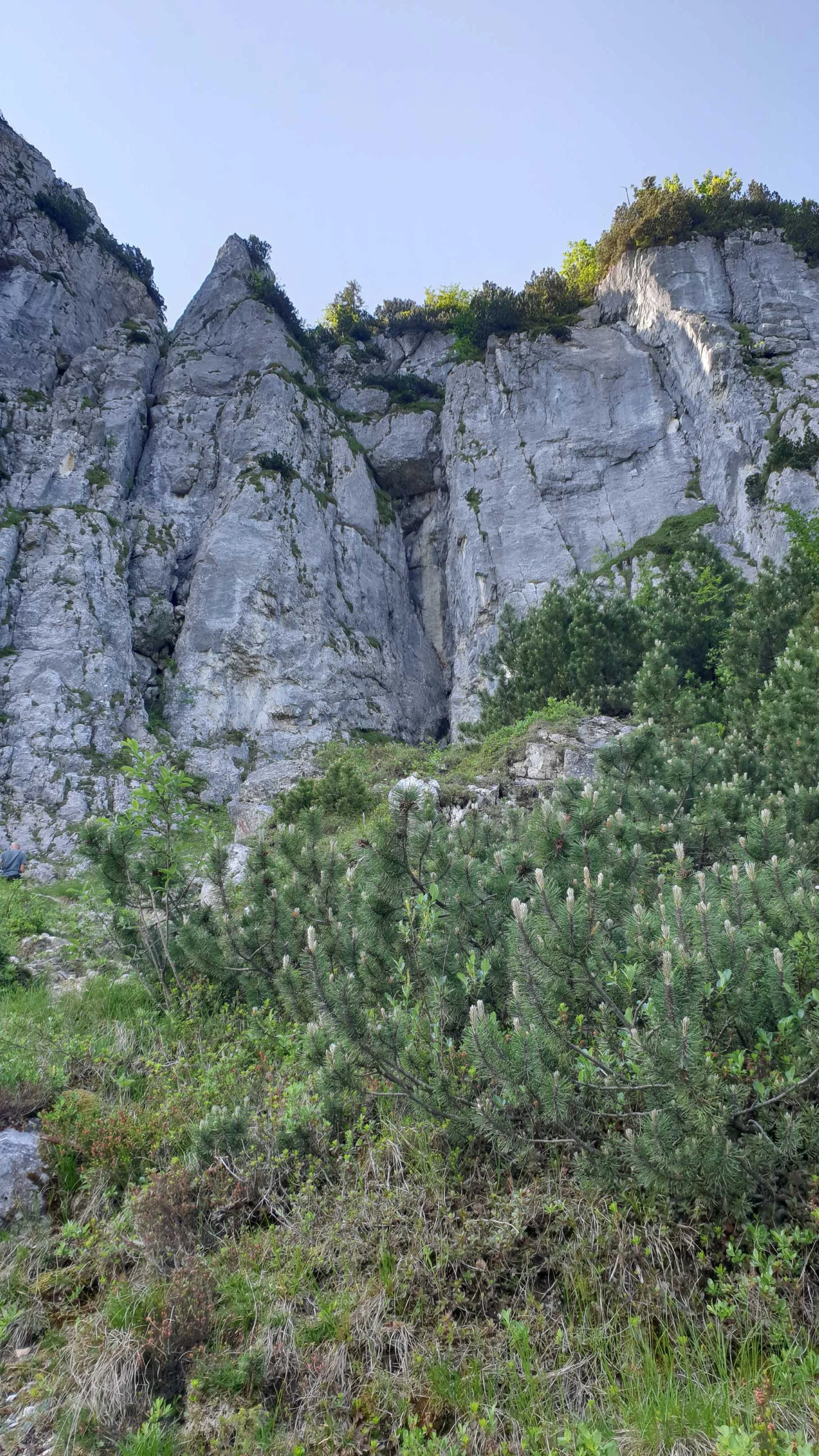 © Simon (GOC)