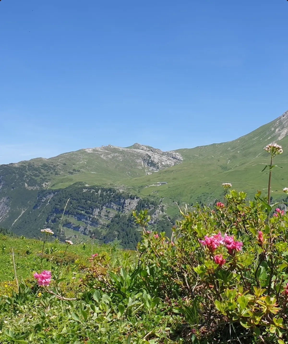 © Simon (GOC)