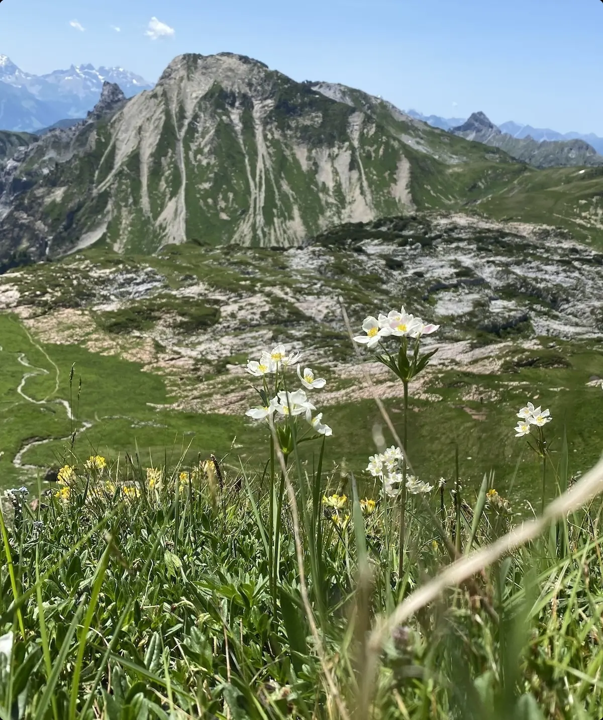 © Simon (GOC)