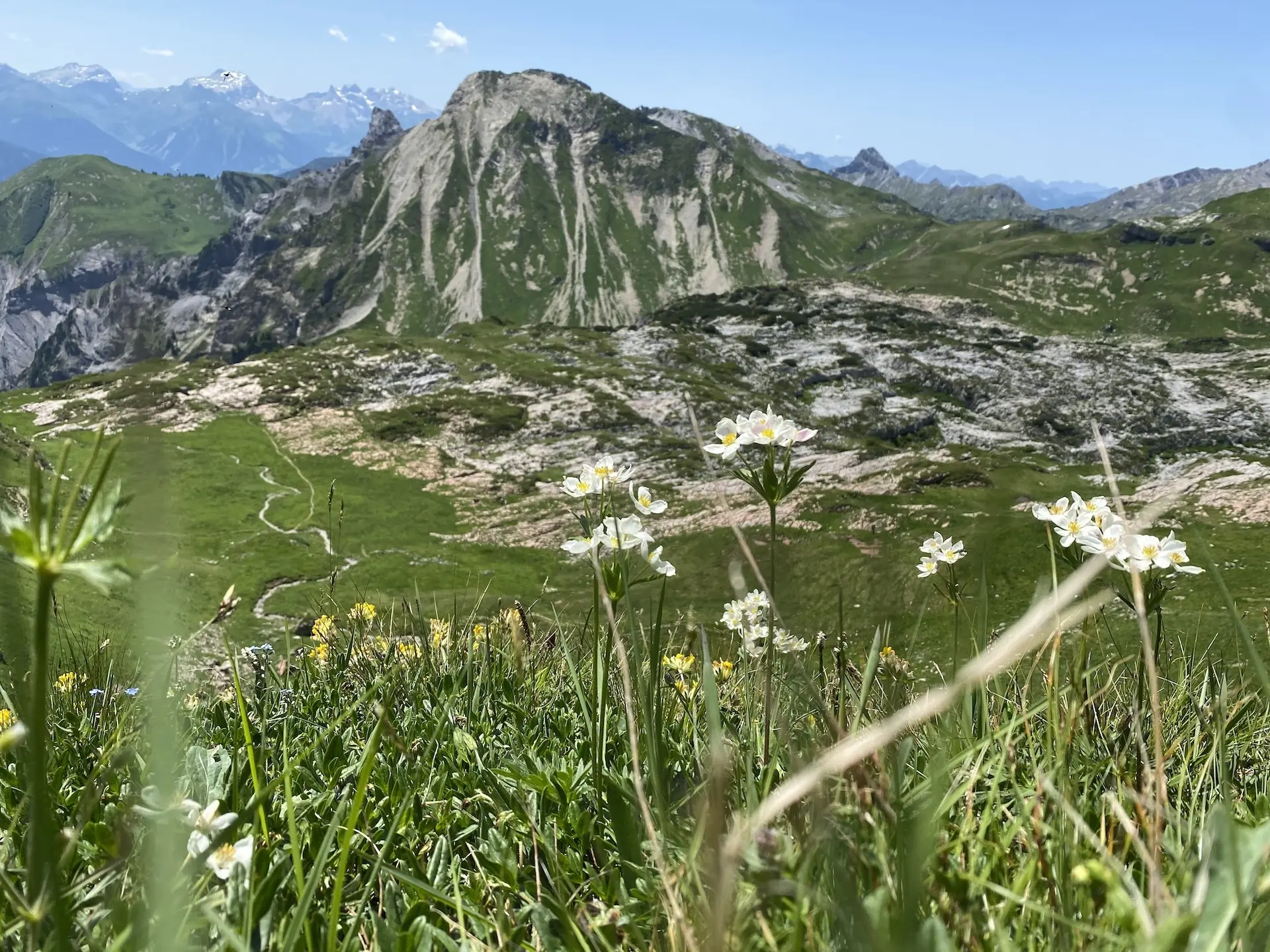 © Simon (GOC)