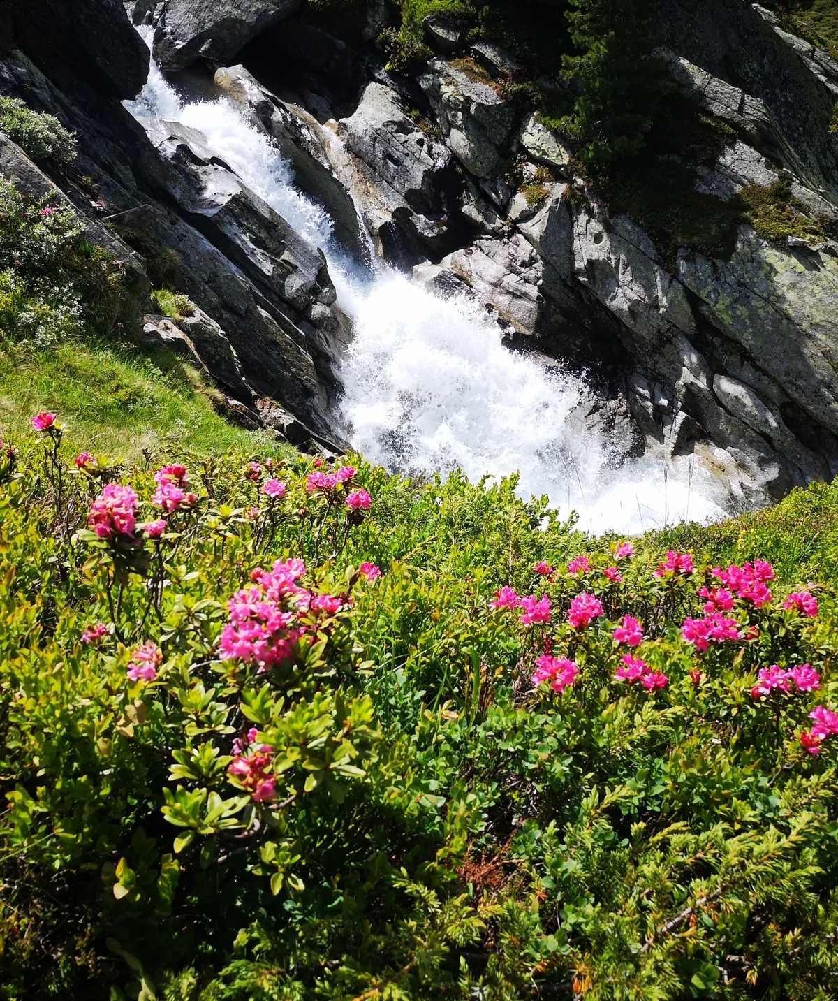 Alpinwandern_Wasserfall | © Sven Thamm