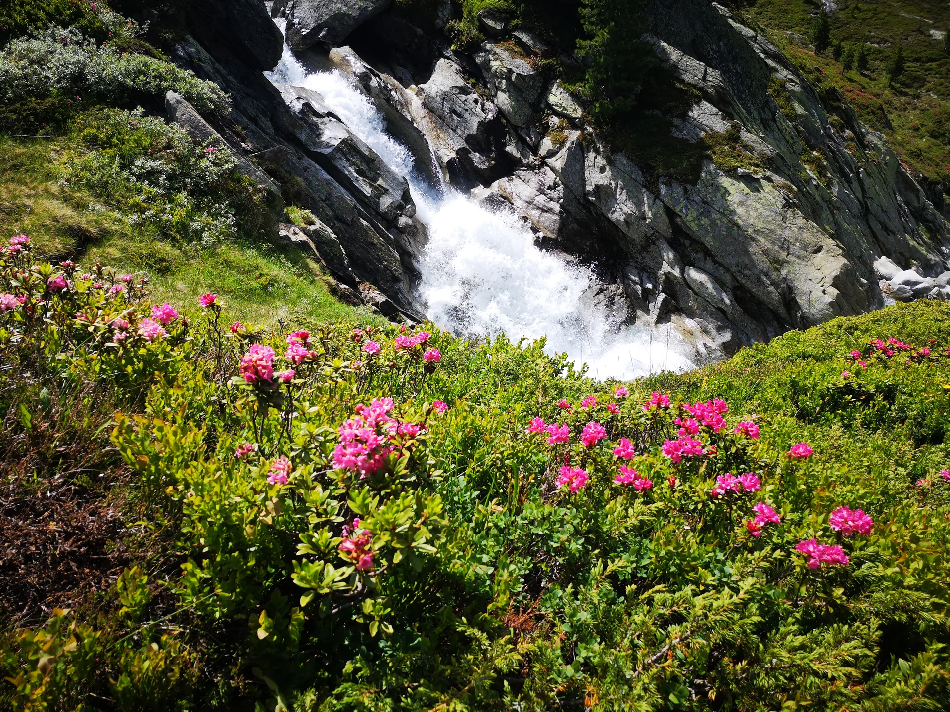 Alpinwandern_Wasserfall | © Sven Thamm