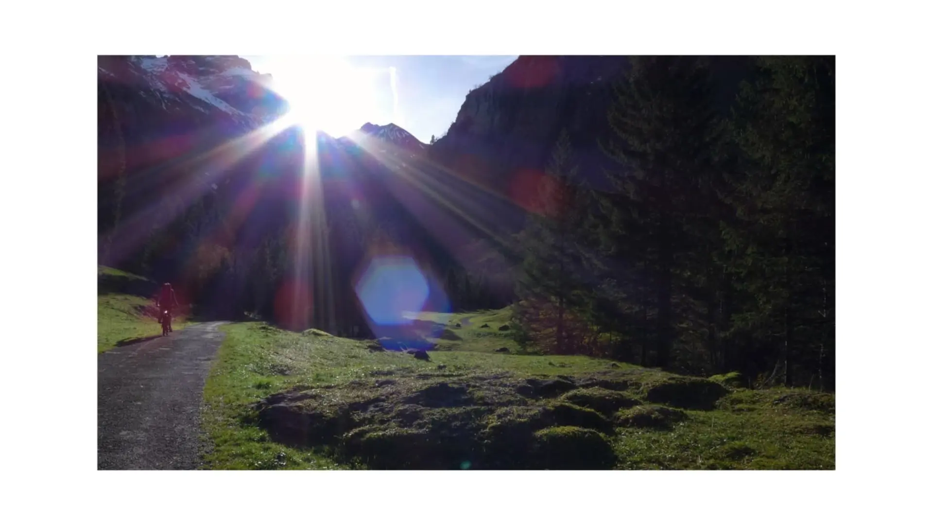 Tim | © Tim Hüttinger